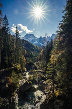 Val Sesis 'te sonbahar renkleri. Forni Avoltri ve ormanı.