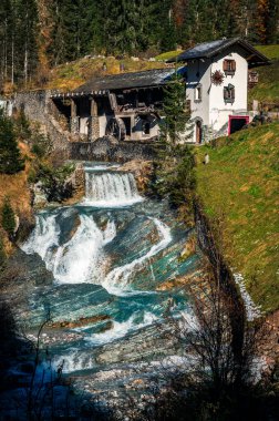 Val Sesis 'te sonbahar renkleri. Forni Avoltri ve ormanı.