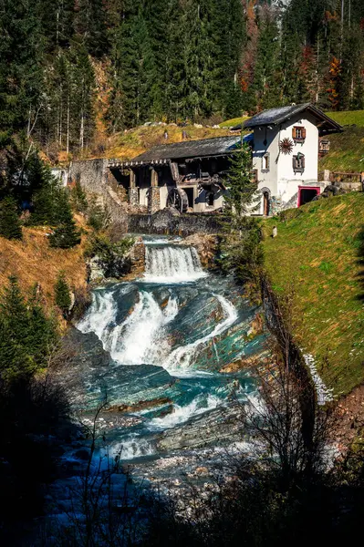 Val Sesis 'te sonbahar renkleri. Forni Avoltri ve ormanı.