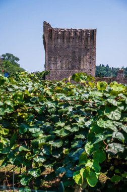 Mincio nehrinde bir yaz. Borghetto Konsolosu Mincio 'nun tarihi köyü