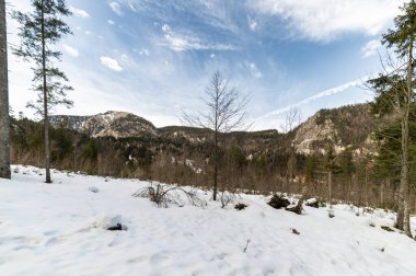 Gleris Valley. Winter in a wild valley in the Alps. Friulian Carnic Alps clipart