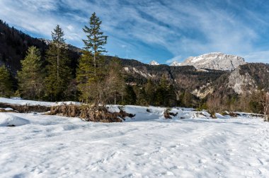 Gleris Vadisi. Kış, Alplerdeki vahşi bir vadide. Friulian Carnic Alpleri