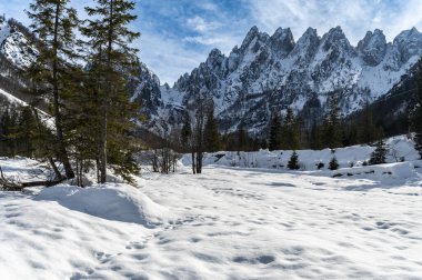 Gleris Vadisi. Kış, Alplerdeki vahşi bir vadide. Friulian Carnic Alpleri