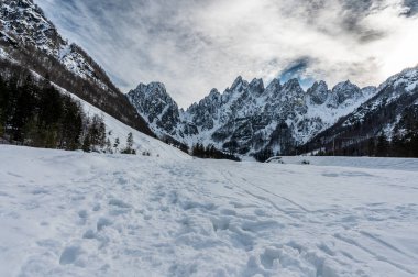 Gleris Vadisi. Kış, Alplerdeki vahşi bir vadide. Friulian Carnic Alpleri