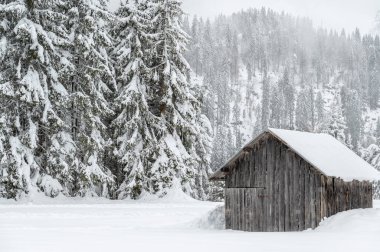 Kışın Sappada 'da evler kar yağışı sırasında, Veneto, İtalya 