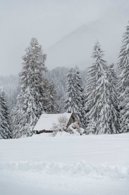 Kışın Sappada 'da evler kar yağışı sırasında, Veneto, İtalya 
