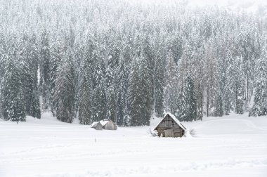 Kışın Sappada 'da evler kar yağışı sırasında, Veneto, İtalya 