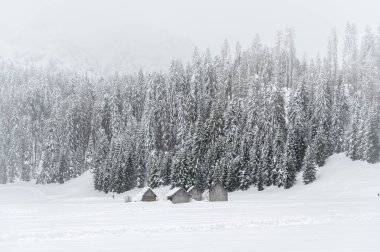 Kışın Sappada 'da evler kar yağışı sırasında, Veneto, İtalya 