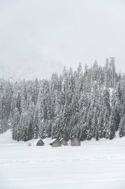 Kışın Sappada 'da evler kar yağışı sırasında, Veneto, İtalya 