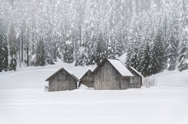 Kışın Sappada 'da evler kar yağışı sırasında, Veneto, İtalya 