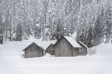 Kışın Sappada 'da evler kar yağışı sırasında, Veneto, İtalya 