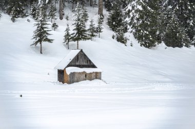 Kışın Sappada 'da evler kar yağışı sırasında, Veneto, İtalya 