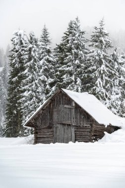 Kışın Sappada 'da evler kar yağışı sırasında, Veneto, İtalya 