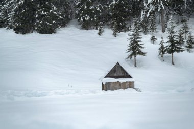 Kışın Sappada 'da evler kar yağışı sırasında, Veneto, İtalya 