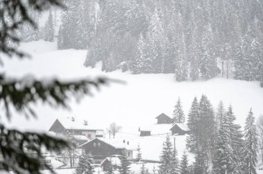 Kışın Sappada 'da evler kar yağışı sırasında, Veneto, İtalya 