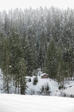 Kışın Sappada 'da evler kar yağışı sırasında, Veneto, İtalya 