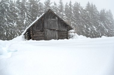 Kışın Sappada 'da evler kar yağışı sırasında, Veneto, İtalya 