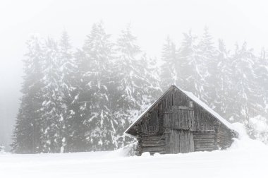 Kışın Sappada 'da evler kar yağışı sırasında, Veneto, İtalya 
