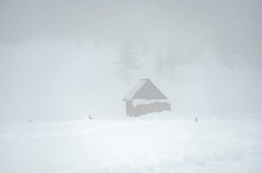 Sappada, Veneto, İtalya 'da kış kar yağışında evler 