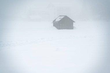 Sappada, Veneto, İtalya 'da kış kar yağışında evler 