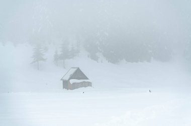Sappada, Veneto, İtalya 'da kış kar yağışında evler 
