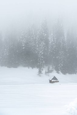Sappada, Veneto, İtalya 'da kış kar yağışında evler 