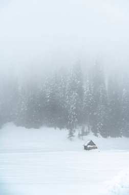 Sappada, Veneto, İtalya 'da kış kar yağışında evler 