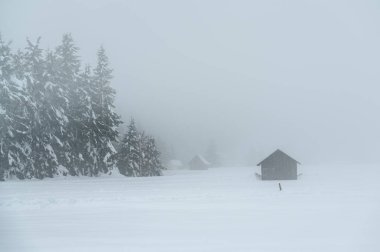 Sappada, Veneto, İtalya 'da kış kar yağışında evler 