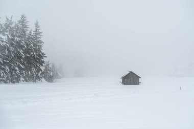 Sappada, Veneto, İtalya 'da kış kar yağışında evler 