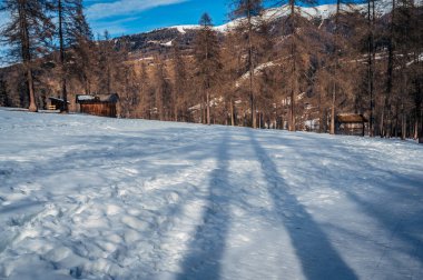 Wooden huts in Fiscalina Valley at winter, Dolomites, Italy clipart