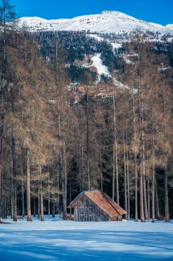 Wooden huts in Fiscalina Valley at winter, Dolomites, Italy clipart