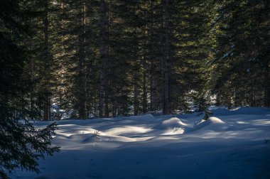 Kışın Fiscalina Vadisi, Dolomitler, İtalya