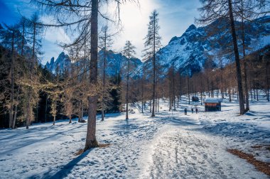 Kışın Fiscalina Vadisi 'nde ahşap kulübeler, Dolomitler, İtalya