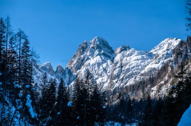 Tarvisio. Kışın Julian Alplerinin eteklerinde Riofreddo Vadisi