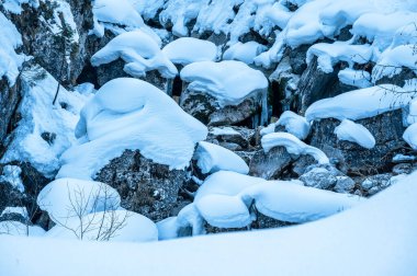 Tarvisio. River in Riofreddo valley at winter at the foot of the Julian Alps clipart