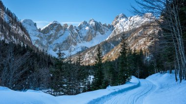 Tarvisio. Kışın Julian Alplerinin eteklerinde Riofreddo Vadisi
