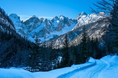 Tarvisio. Riofreddo valley in winter at the foot of the Julian Alps