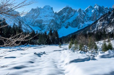 Tarvisio. Kışın Julian Alplerinin eteklerinde Riofreddo Vadisi