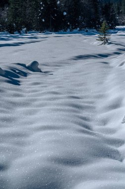 Tarvisio. Riofreddo valley in winter at the foot of the Julian Alps clipart