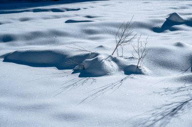 Tarvisio. Kışın Julian Alplerinin eteklerinde Riofreddo Vadisi