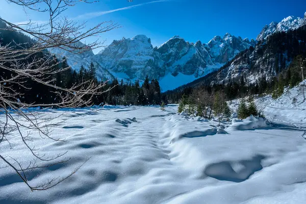 Tarvisio. Kışın Julian Alplerinin eteklerinde Riofreddo Vadisi