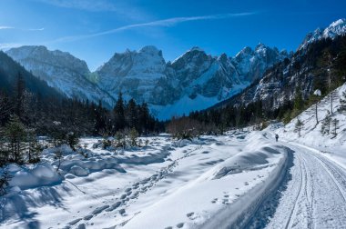 Tarvisio. Riofreddo valley in winter at the foot of the Julian Alps clipart