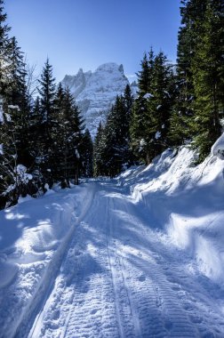 Tarvisio. Riofreddo valley in winter at the foot of the Julian Alps clipart