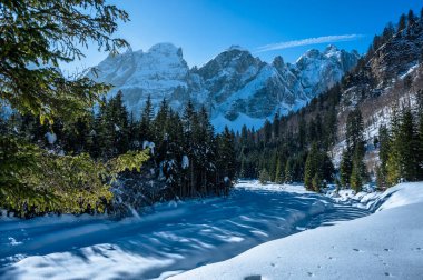 Tarvisio. Kışın Julian Alplerinin eteklerinde Riofreddo Vadisi