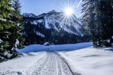 Tarvisio. Julian Alplerinin eteklerinde kışın Riofreddo vadisinde karlı evler