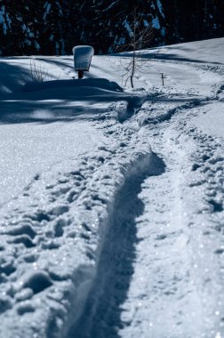 Tarvisio. Kışın Julian Alplerinin eteklerinde Riofreddo Vadisi