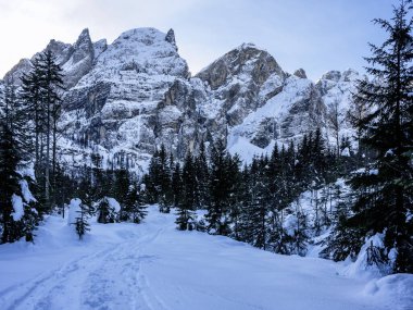 Tarvisio. Riofreddo valley in winter at the foot of the Julian Alps clipart