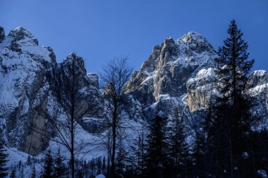 Tarvisio. Kışın Julian Alplerinin eteklerinde Riofreddo Vadisi