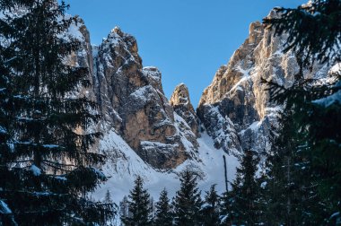 Tarvisio. Kışın Julian Alplerinin eteklerinde Riofreddo Vadisi