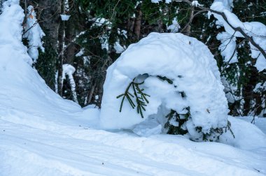 Tarvisio. Kışın Julian Alplerinin eteklerinde Riofreddo Vadisi